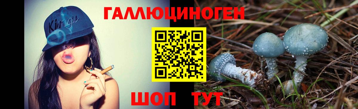 Балтийск  Галлюциногенные грибы прущие грибы  Вход с VPN  Псилоцибиновые грибы Cubensis 